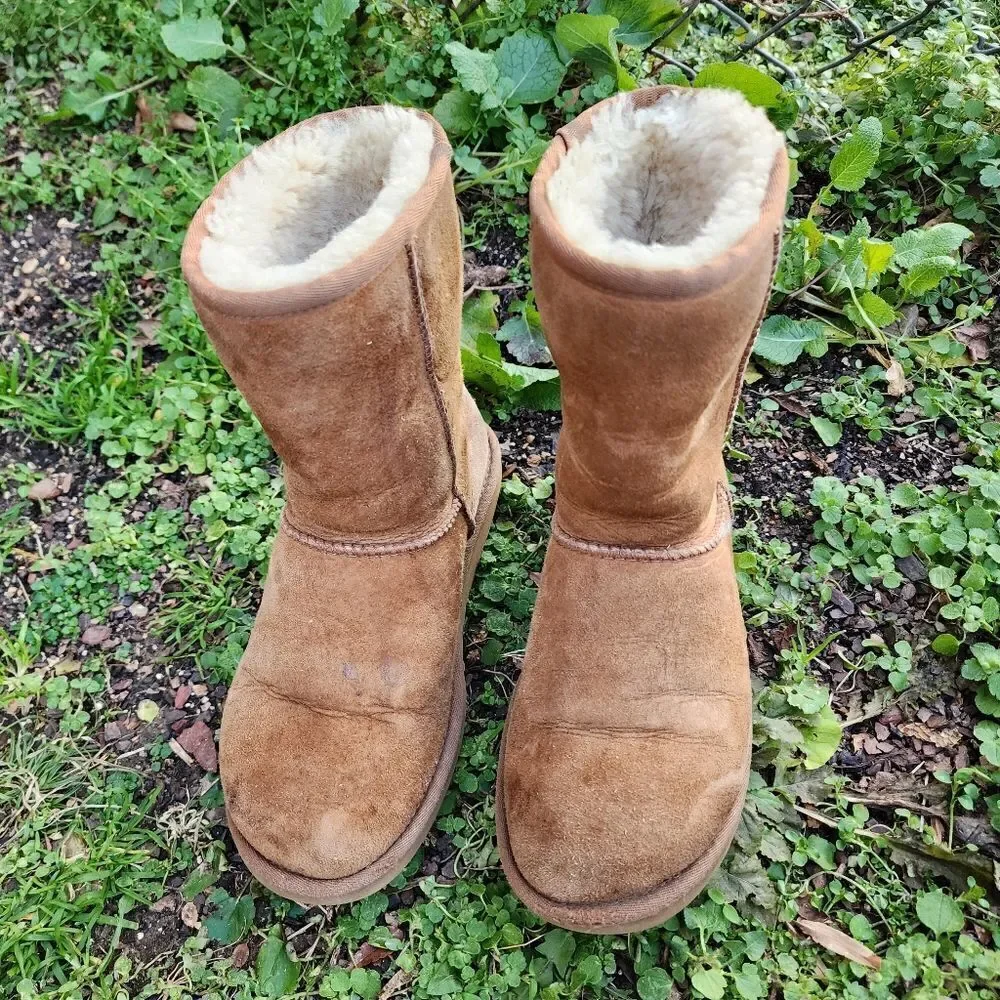 UGG AUSTRALIA - Womens Winter Boots - SIZE 6